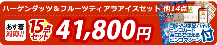 【目玉：ハーゲンダッツ＆フルーツティアラアイスセット】15点セット 15点セット 41800円