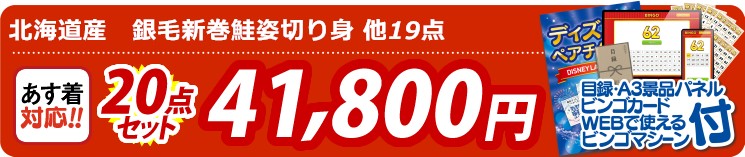 【目玉：北海道産銀毛新巻鮭姿切り身】20点セット 20点セット 41800円