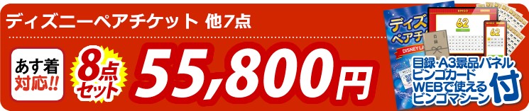 【目玉：ディズニーペアチケット】8点セット 8点セット 55800円
