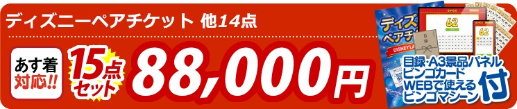 【目玉：ディズニーペアチケット】15点セット 15点セット 88000円