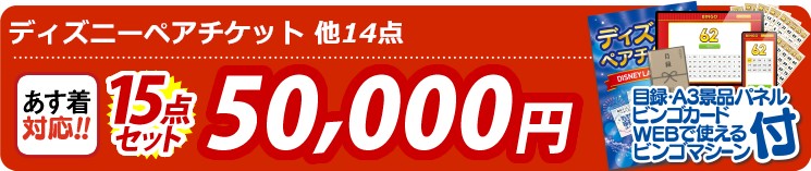 【目玉：ディズニーペアチケット】15点セット 15点セット 50000円