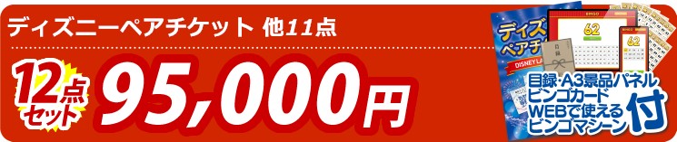 【目玉：ディズニーペアチケット】12点セット 12点セット 95000円