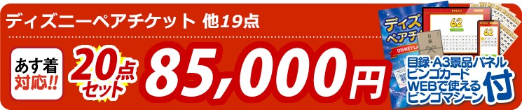 【目玉：ディズニーペアチケット】20点セット 20点セット 85000円
