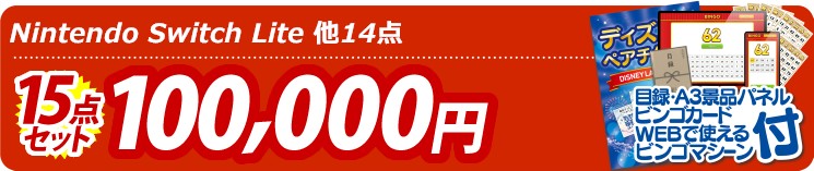 【目玉：Nintendo Switch Lite】15点セット 15点セット 100000円