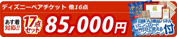 【目玉：ディズニーペアチケット】17点セット 17点セット 85000円