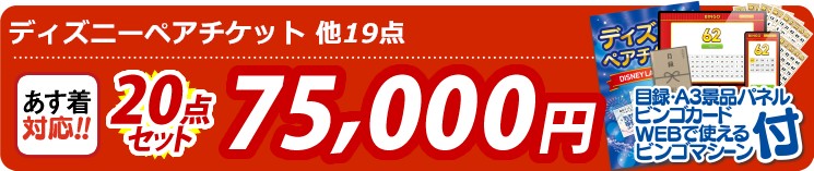 【目玉：ディズニーペアチケット】20点セット 20点セット 75000円