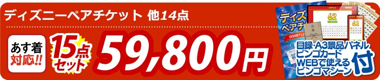 【目玉：ディズニーペアチケット】15点セット 15点セット 59800円