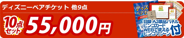 【目玉：ディズニーペアチケット】10点セット 10点セット 55000円