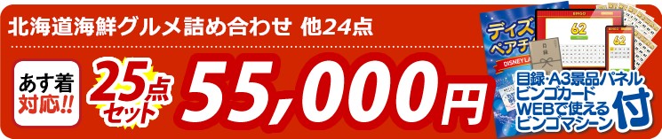 【目玉：北海道海鮮グルメ詰め合わせ】25点セット 25点セット 55000円