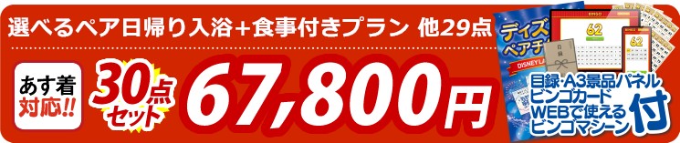 【目玉：選べるペア日帰り入浴+食事付きプラン】30点セット 30点セット 67800円