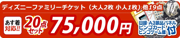 【目玉:ディズニーファミリーチケット(大人2枚 小人1枚)】20点セット 20点セット 75000円