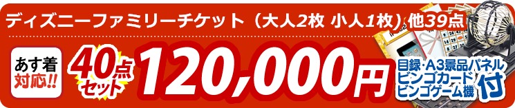 【目玉:ディズニーファミリーチケット(大人2枚 小人1枚)】40点セット 40点セット 120000円