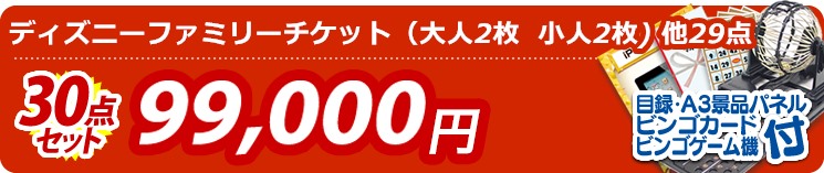 【目玉:ディズニーファミリーチケット(大人2枚  小人2枚)】30点セット 30点セット 99000円