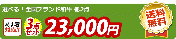 【目玉：選べる！全国ブランド和牛】3点セット 3点セット 23000円