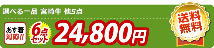 【目玉:選べる一品 宮崎牛】6点セット 6点セット 24800円