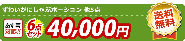 【目玉：ずわいがにしゃぶポーション】6点セット 6点セット 40000円