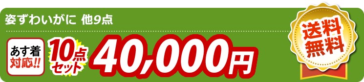 【目玉：姿ずわいがに】10点セット 10点セット 40000円