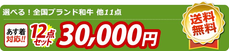 【目玉：選べる！全国ブランド和牛】12点セット 12点セット 30000円