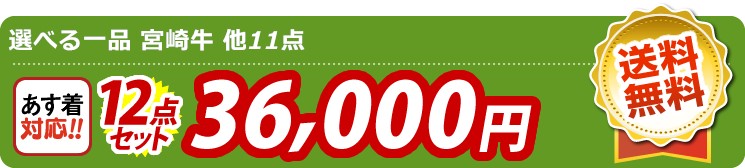【目玉：選べる一品 宮崎牛】12点セット 12点セット 36000円