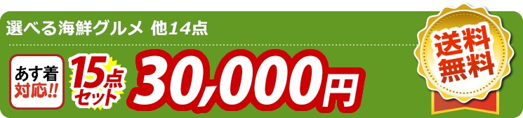 【目玉：選べる海鮮グルメ】15点セット 15点セット 30000円