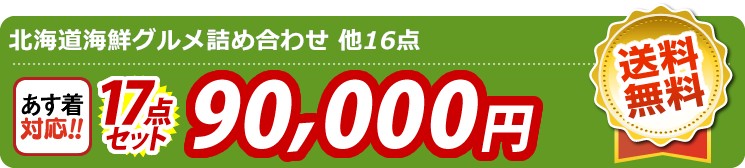 【目玉：北海道海鮮グルメ詰め合わせ】17点セット 17点セット 90000円