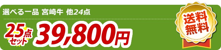 【目玉:選べる一品 宮崎牛】25点セット 25点セット 39800円