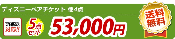 【目玉:ディズニーチケット ペア1DAYパスポート】5点セット 5点セット 53000円