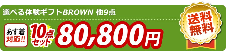 【目玉：選べる体験ギフトBROWN】10点セット 10点セット 80800円