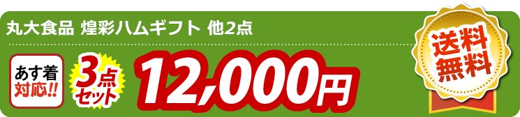 【目玉：丸大食品 煌彩ハムギフト】3点セット 3点セット 12000円