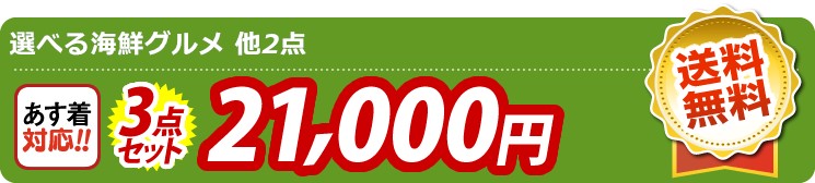 【目玉：選べる海鮮グルメ】3点セット 3点セット 21000円