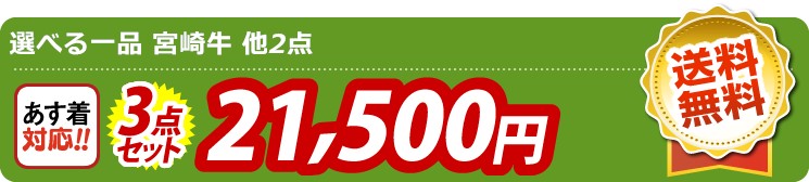 【目玉：選べる一品 宮崎牛】3点セット 3点セット 21500円