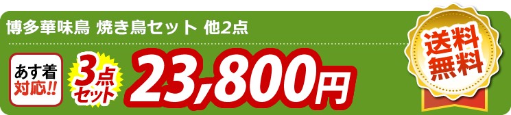 【目玉：博多華味鳥 焼き鳥セット】3点セット 3点セット 23800円