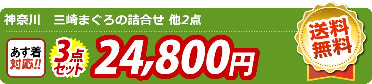 【目玉：神奈川　三崎まぐろの詰合せ】3点セット 3点セット 24800円