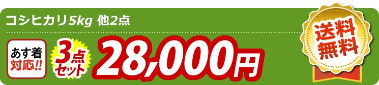 【目玉：コシヒカリ5kg】3点セット 3点セット 28000円