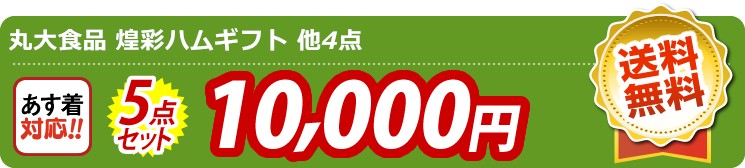 【目玉：丸大食品 煌彩ハムギフト】5点セット 5点セット 10000円
