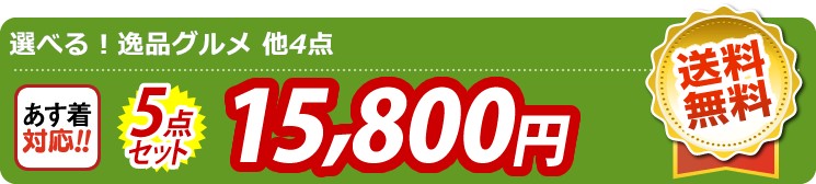 【目玉：選べる！逸品グルメ】5点セット 5点セット 15800円