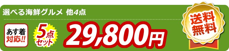 【目玉：選べる海鮮グルメ】5点セット 5点セット 29800円