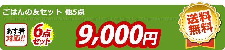 【目玉：ごはんの友セット】6点セット 6点セット 9000円