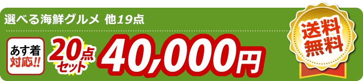 【目玉：選べる海鮮グルメ】20点セット 20点セット 40000円
