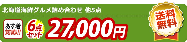 【目玉：北海道海鮮グルメ詰め合わせ】6点セット 6点セット 27000円