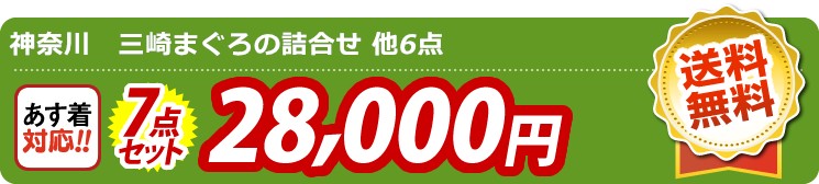 【目玉：神奈川　三崎まぐろの詰合せ】7点セット 7点セット 28000円