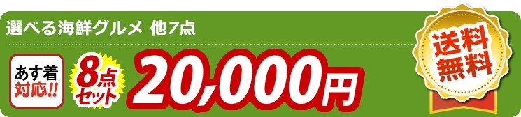 【目玉：選べる海鮮グルメ】8点セット 8点セット 20000円