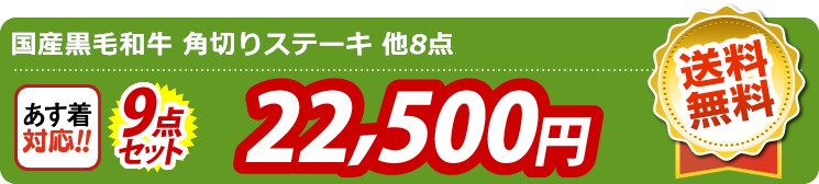 【目玉：国産黒毛和牛 角切りステーキ】9点セット 9点セット 22500円