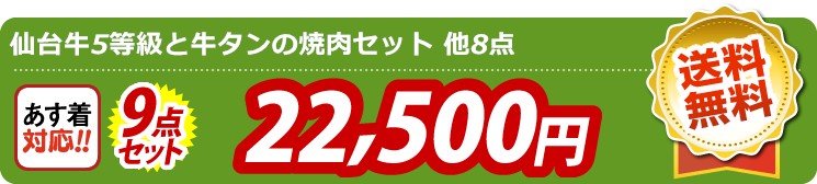 【目玉：仙台牛5等級と牛タンの焼肉セット】9点セット 9点セット 22500円