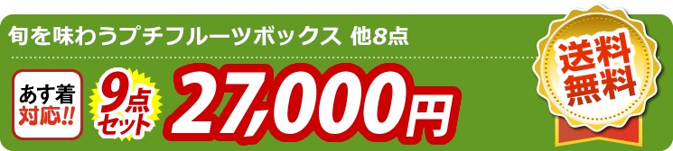 【目玉：旬を味わうプチフルーツボックス】9点セット 9点セット 27000円