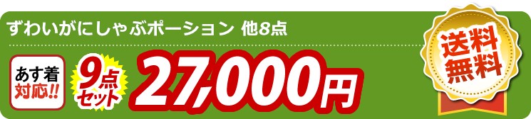 【目玉：ずわいがにしゃぶポーション】9点セット 9点セット 27000円