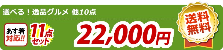 【目玉：選べる！逸品グルメ】11点セット 11点セット 22000円