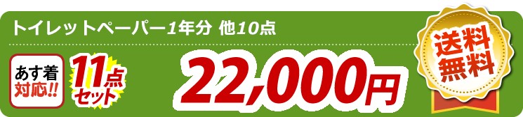 【目玉：トイレットペーパー1年分】11点セット 11点セット 22000円