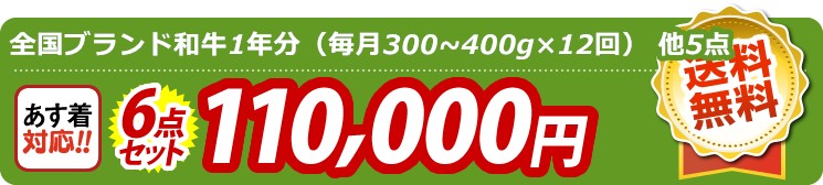 【目玉：全国ブランド和牛1年分（毎月300~400g×12回）】6点セット 6点セット 110000円