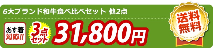 【目玉：6大ブランド和牛食べ比べセット】3点セット 3点セット 31800円